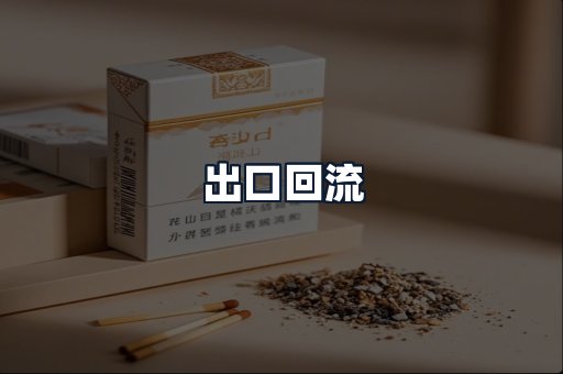 出口回流